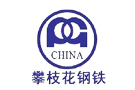 攀枝花鋼鐵(集團(tuán))公司