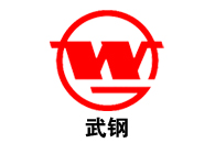 武漢鋼鐵(集團(tuán))公司